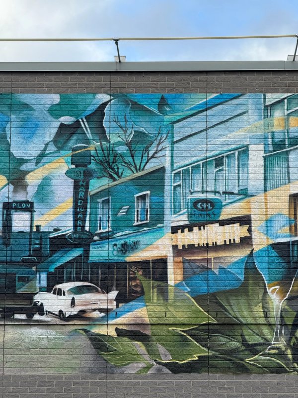 Metro Beechwood street art mural photo 4