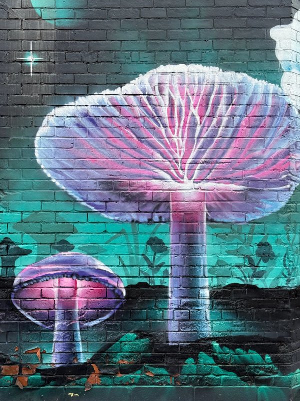 Glebe’s Garden street art mural photo 3