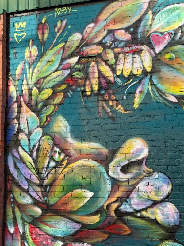 Inconnu street art mural photo 1