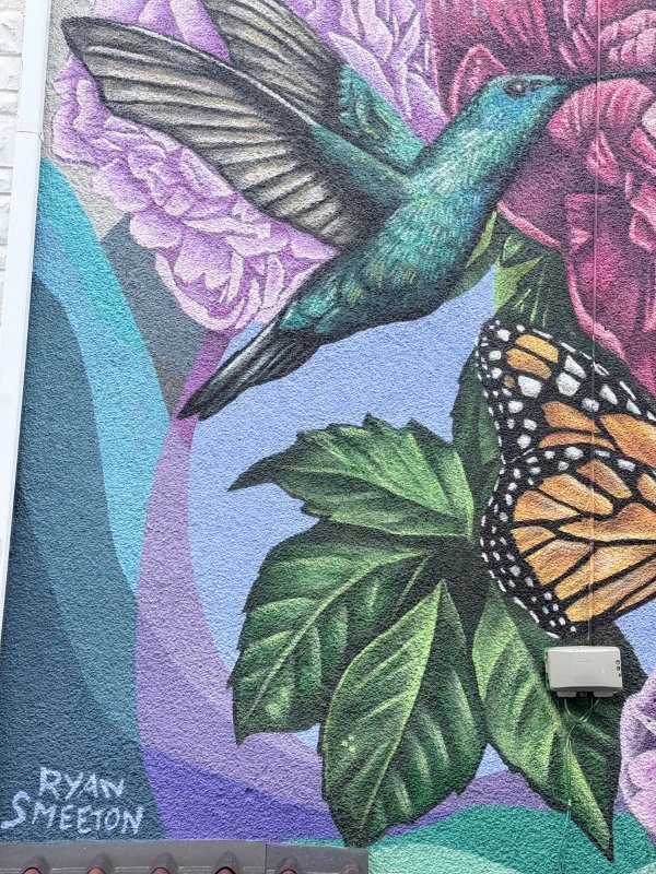 Mural artwork by Ryan Smeeton - Street art in Centretown West, Ottawa, Ontario