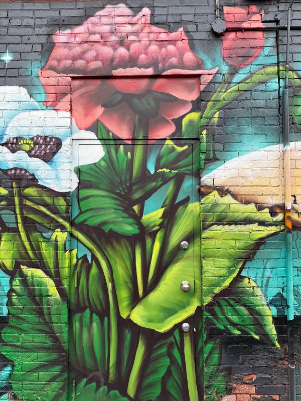 Glebe’s Garden street art mural photo 2
