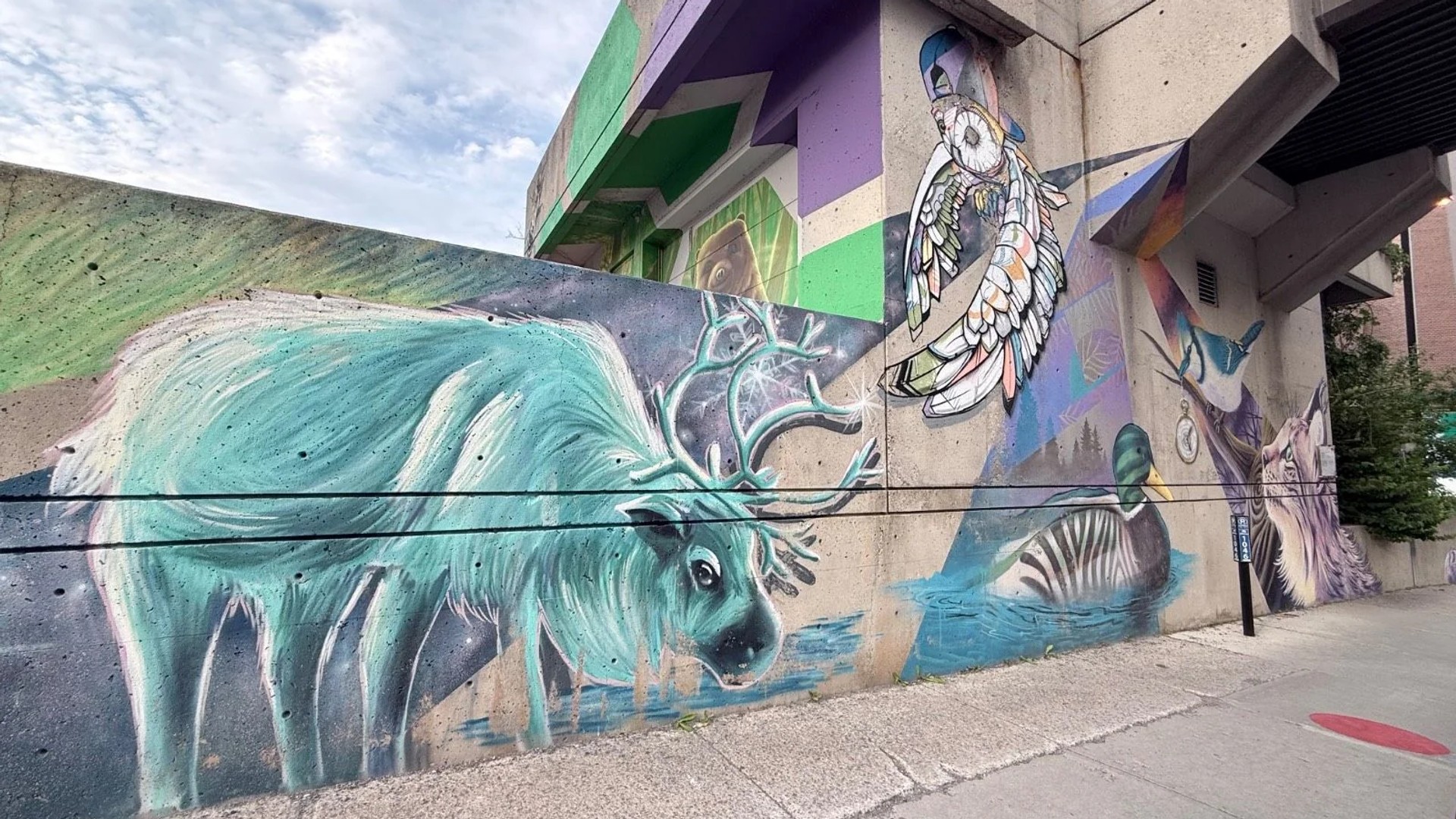 Animosités by Marie-Rosa Szychowska - Street art mural in Hull, Ottawa, Ontario