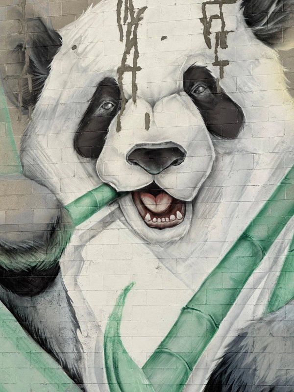 Untitled Submission - Mural in Centretown, Ontario