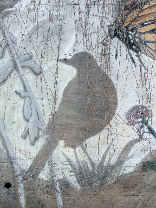 Mural artwork by Rene-Pierre Beaudry (ARPi) - Street art in Hintonburg, Ottawa, Ontario