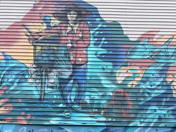 Untitled Submission by Dom Laporte - Mural in Centretown West, Ontario