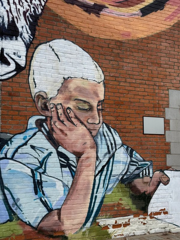 Wild Read street art mural photo 1