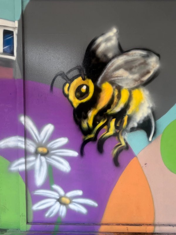 Street art mural in Golden Triangle, Ottawa - Urban art photography
