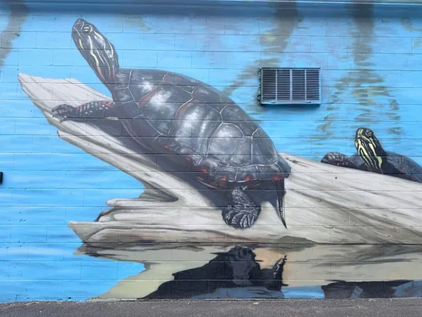 Murale au Somerset Ouest Community Health Centre 30 (2026) by Unknown / Inconnu