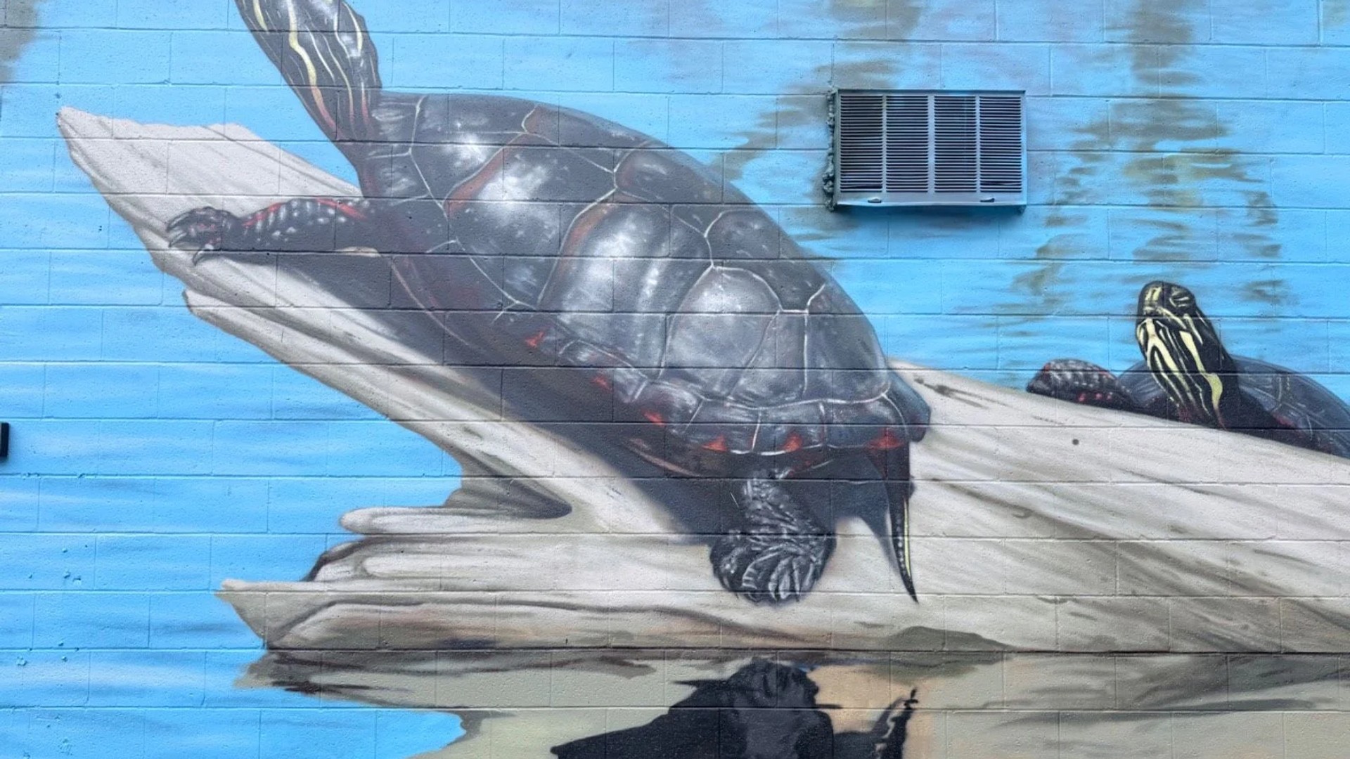 Street art mural in Hintonburg, Ottawa - Urban art photography