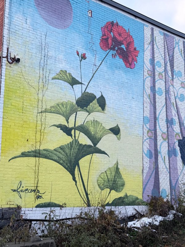 Inconnu street art mural photo 2