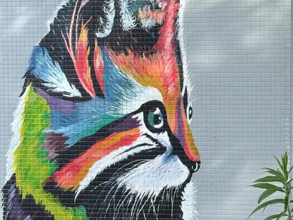 Mural artwork by Hakan - Street art in Chinatown, Ottawa, Ontario