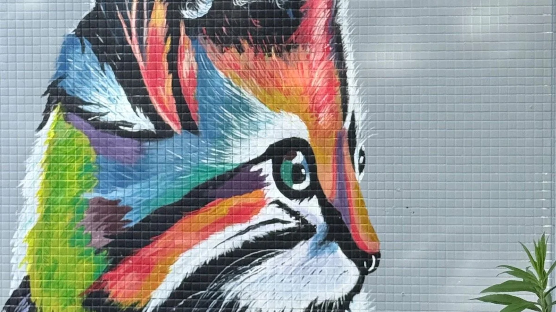 Mural artwork by Hakan - Street art in Chinatown, Ottawa, Ontario