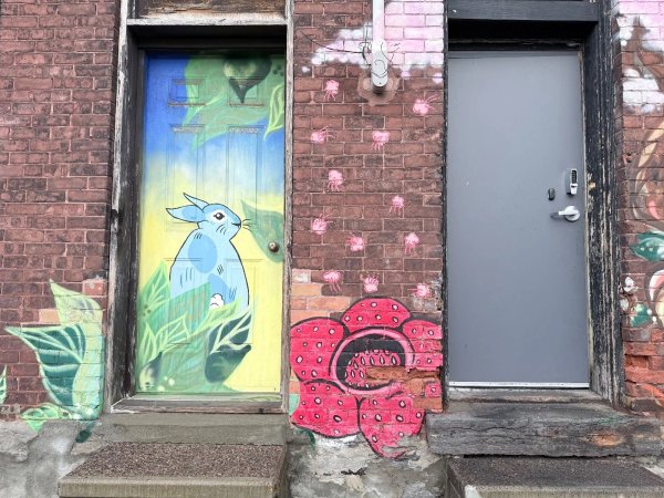 Untitled Submission by Unknown - Mural in Centretown, Ontario