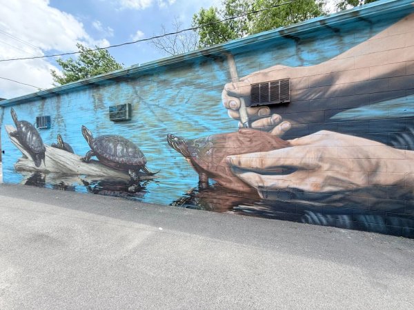 Mural artwork by Martin Freundorfer - Street art in Hintonburg, Ottawa, Ontario