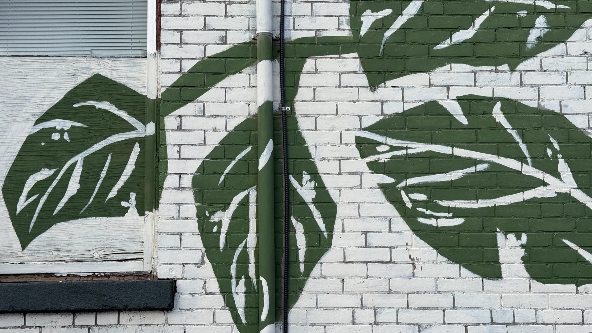 Inconnu mural in Centretown by Unknown / Inconnu