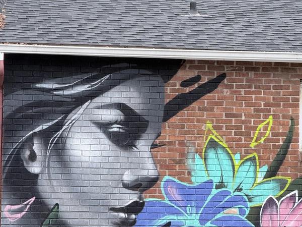 Mural artwork by Dems & Doll - Street art in Old Ottawa East, Ottawa, Ontario
