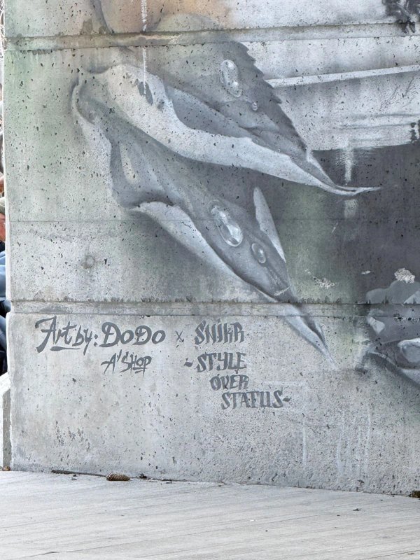 Urban street art in Byward Market, Ottawa - Mural photography