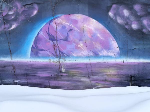 Public mural artwork in Rideau Gardens, Ottawa - Street art scene