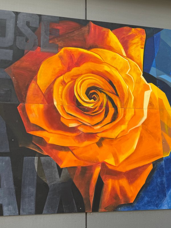 Fleurs de paix street art mural photo 1