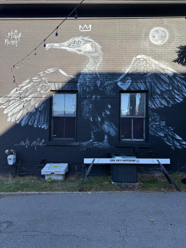 Large scale street art mural of cormorant by Mique Michelle in Hintonburg, Ottawa. Documented by OTTAWALLS.