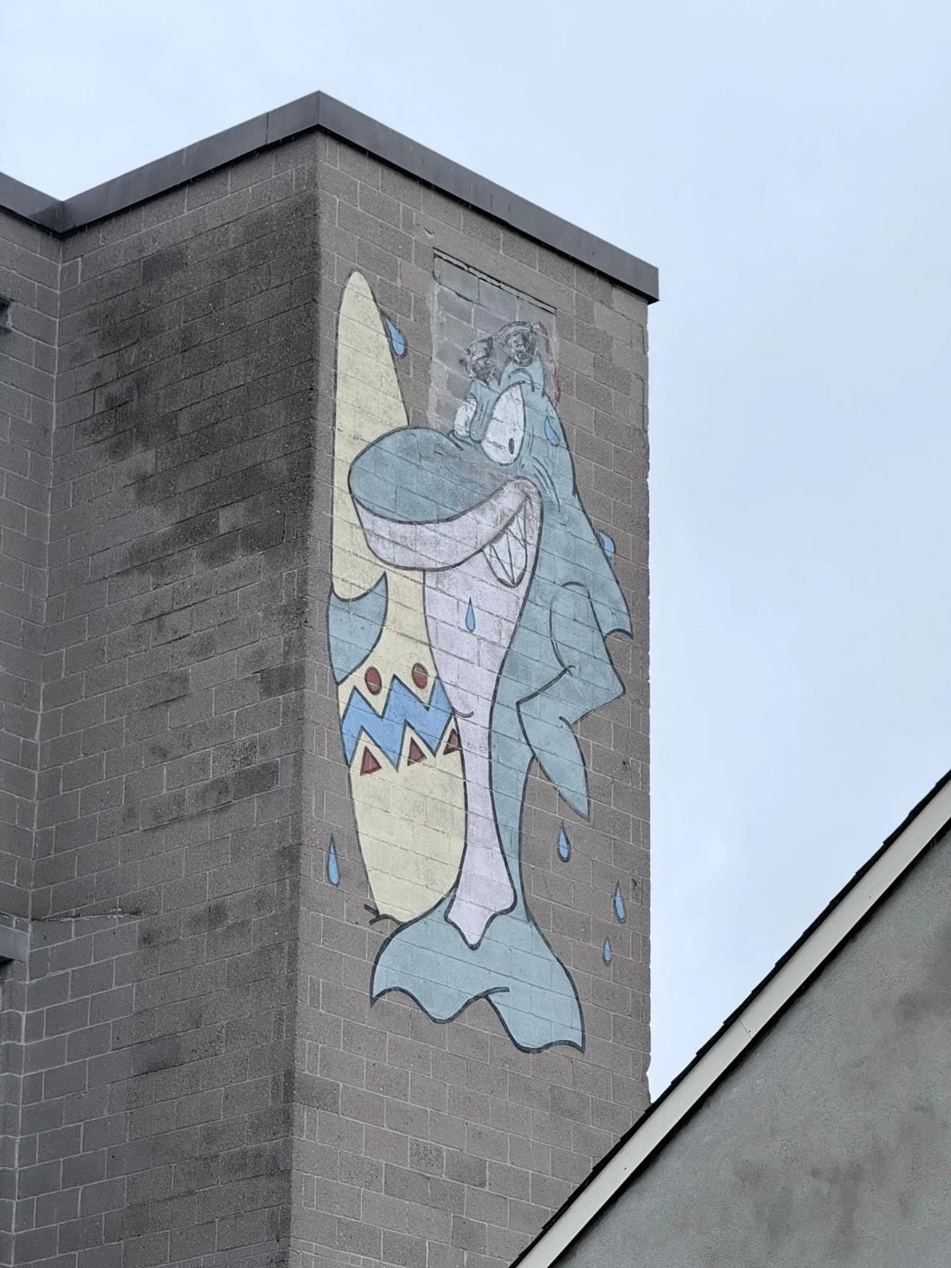 Urban street art in Byward Market, Ottawa - Mural photography