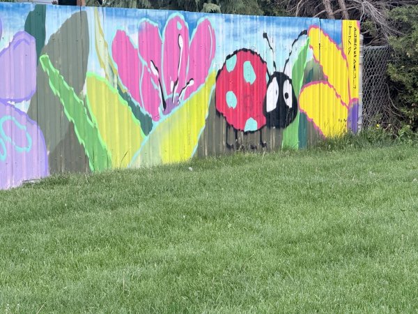 Mural artwork by TRP613 - Street art in Lincoln Heights, Ottawa, Ontario