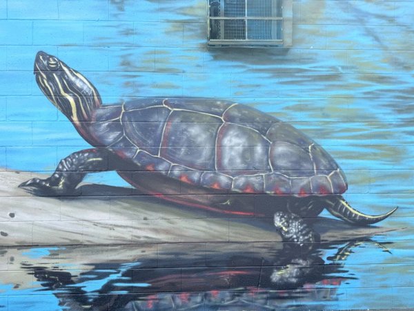 Mural artwork by Martin Freundorfer - Street art in Hintonburg, Ottawa, Ontario
