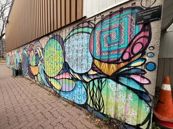 Summer ACFO Collaboration  street art mural photo 1