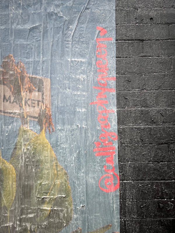 Bilingual Ottawa mural by calligraphyqueen featuring the messages "Tu es la meilleure version" and "You are the only one like you".