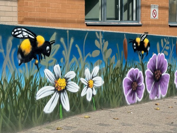 Inconnu street art mural photo 1