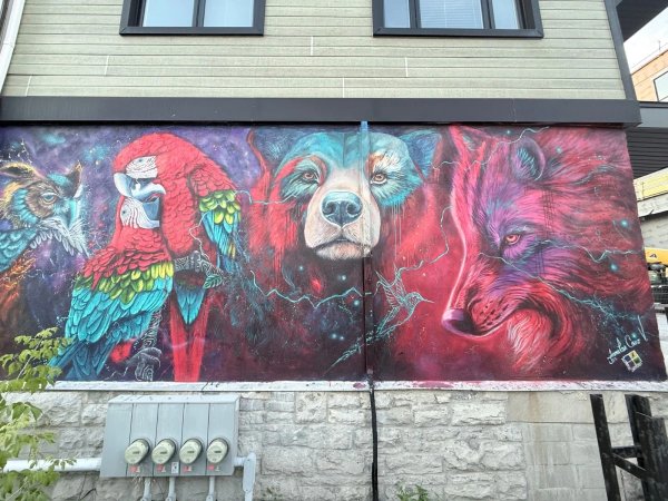 Mural artwork by Jhonatan Cano Vasquez - Street art in Hull, Ottawa, Ontario