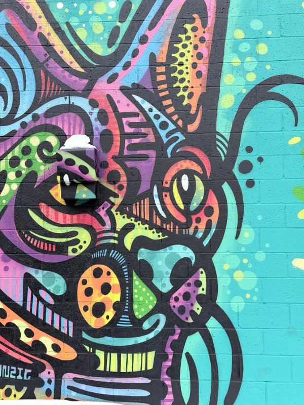 Vibrant street art mural in Ottawa’s Rideau Gardens by The Higher Ups. The artwork features a split composition: a colorful, psychedelic cat with intricate patterns on the left and a soulful, realistic purple-toned bulldog on the right. Part of the OTTAWALLS digital mural archive documenting National Capital Region urban art.