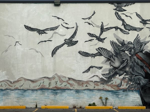 Freedom to Roam street art mural photo 3