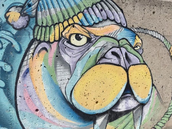 Animosités by Marie-Rosa Szychowska - Street art mural in Hull, Ottawa, Ontario