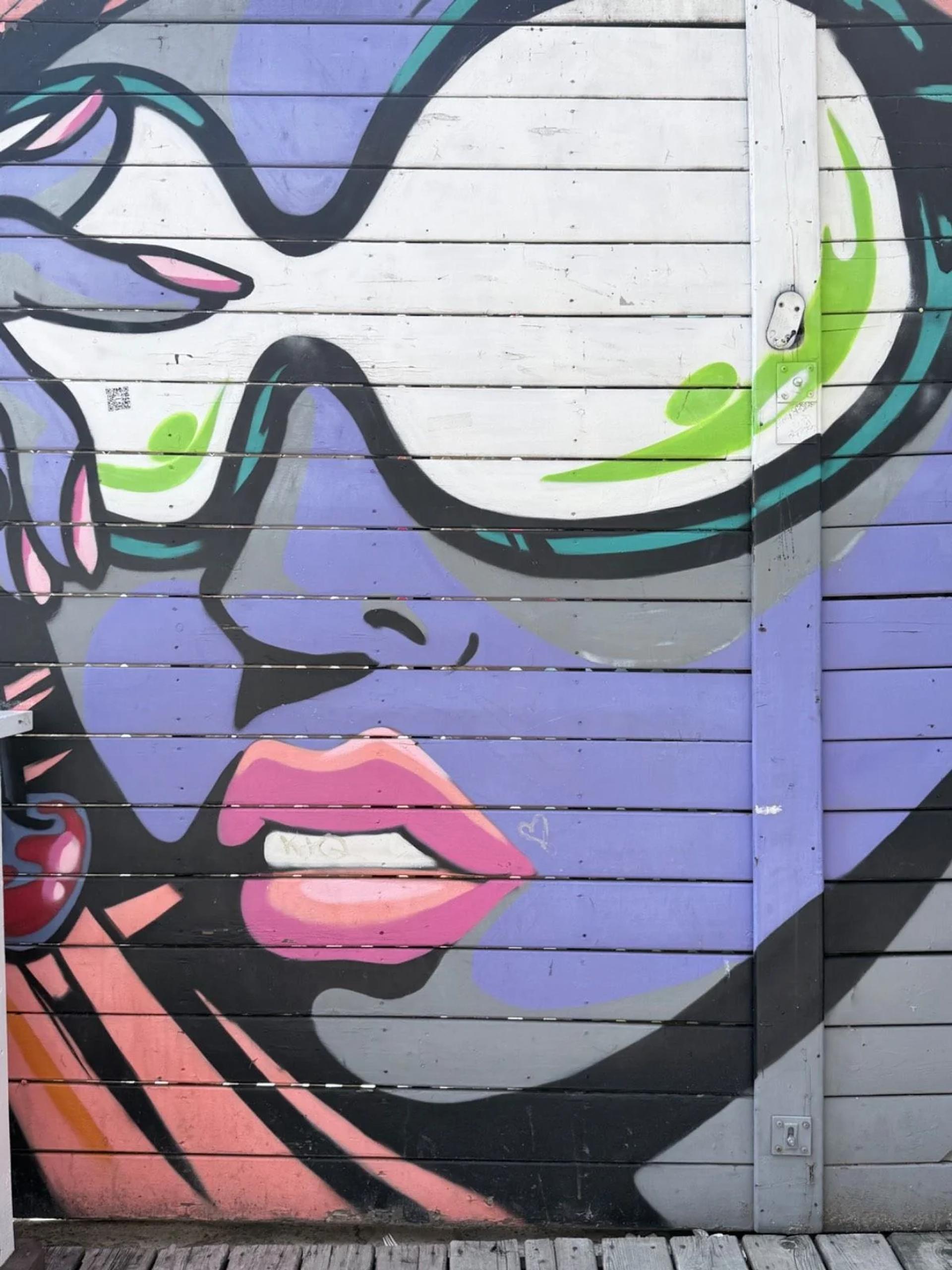 Mural artwork by Dems & Doll - Street art in Byward Market, Ottawa, Ontario