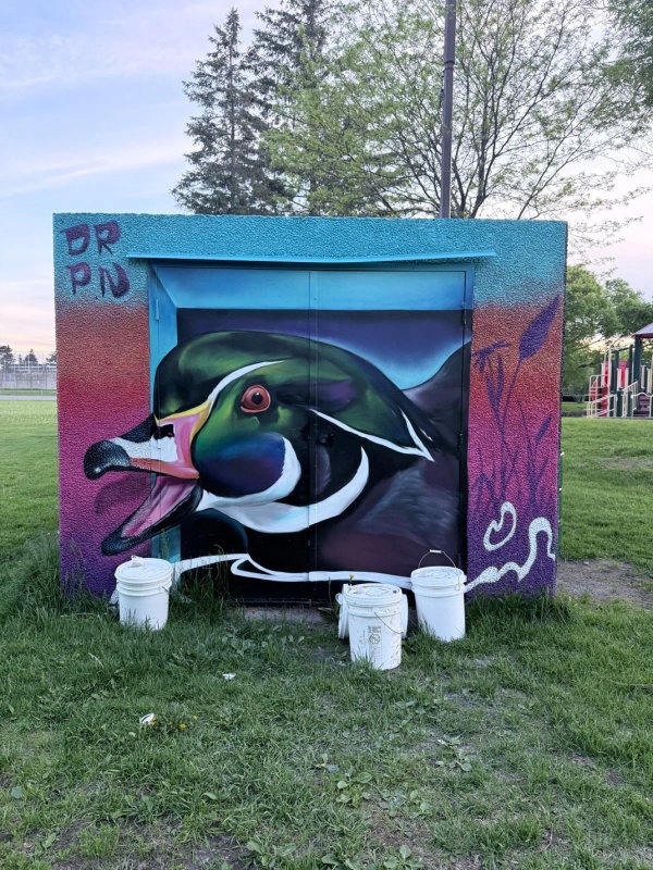 Mural artwork by Kalkidan Assefa (Drippin Soul) - Street art in Lincoln Heights, Ottawa, Ontario