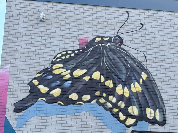 Untitled by Drippin Soul - Mural in Hintonburg, Ontario