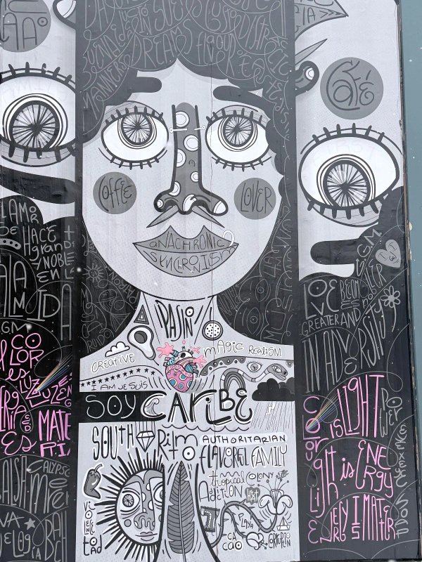 Soy Caribe by Visualgzas - Mural in Centretown, Ontario at Arlington 5