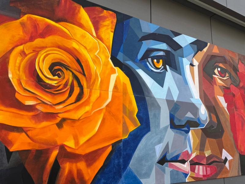Ottawalls showing spring nature-themed street art mural in the Glebe for the Tulip Festival