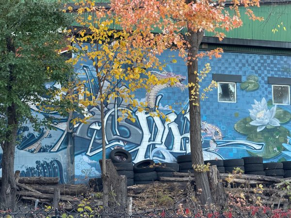 Inconnu street art mural photo 1