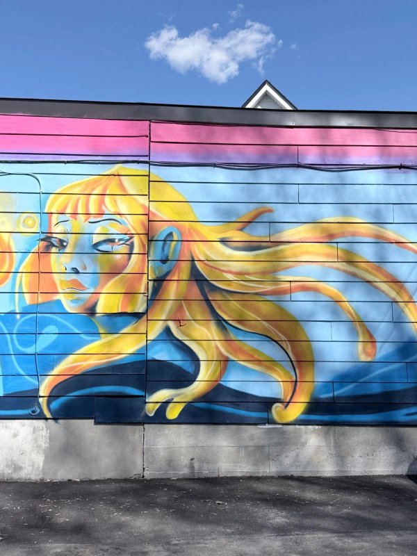 Mural artwork by Mente Muerta - Street art in Hull, Ottawa, Ontario