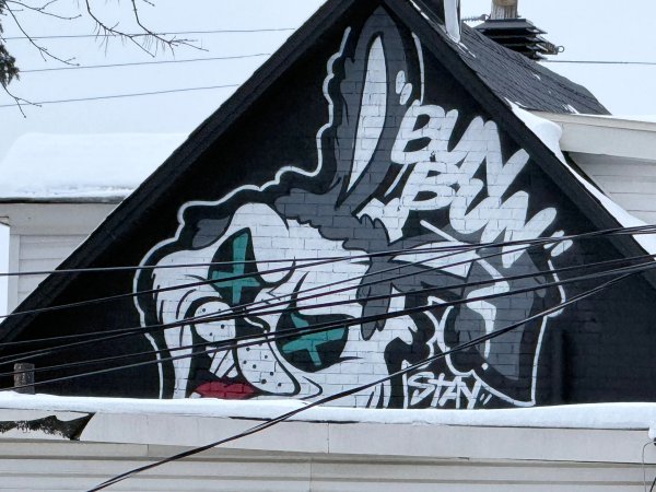 Street art mural in Hintonburg, Ottawa - Urban art photography