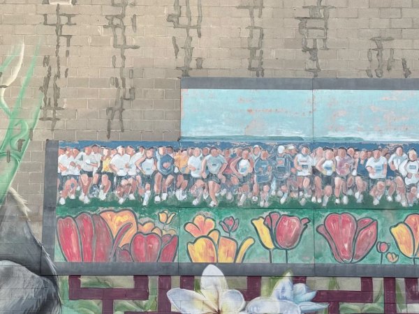 Untitled Submission - Mural in Centretown, Ontario