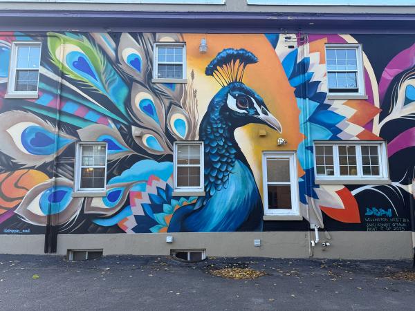 The Proudest Plumage