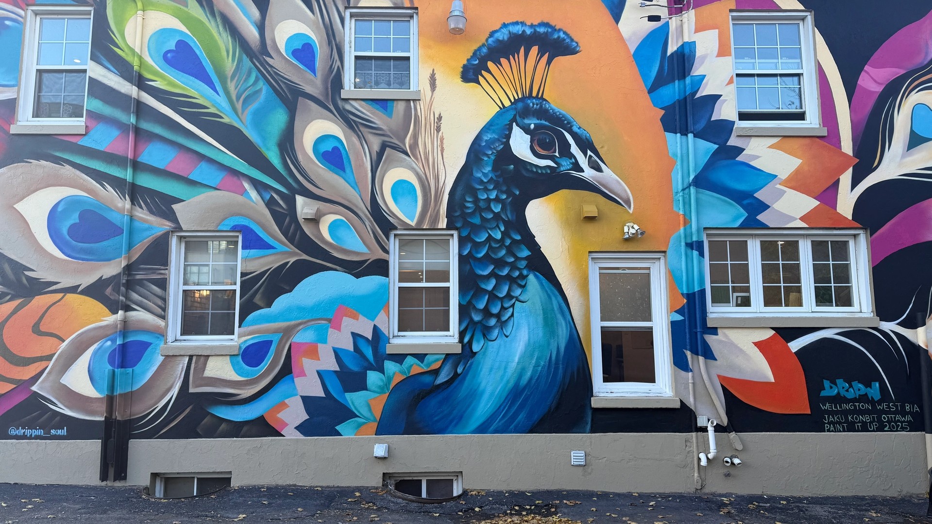 The Proudest Plumage mural in Hintonburg by Kalkidan Assefa (Drippin Soul)