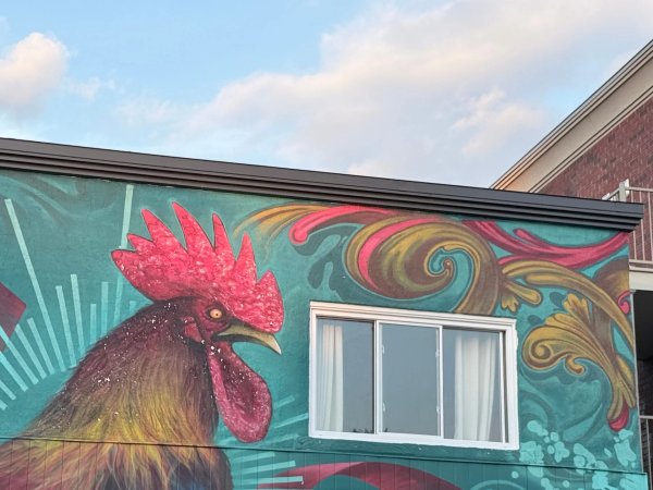 Mural artwork by Marin Mitrasinovic - Street art in Hull, Ottawa, Ontario