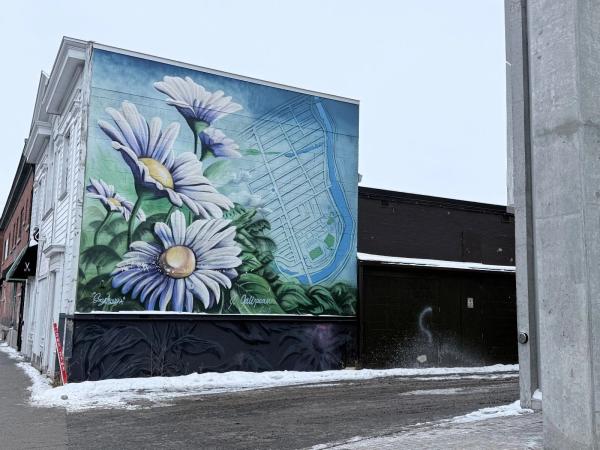 Large scale outdoor mural in Ottawa by artist Jocelyn Galipeau featuring oversized white daisies and a stylized blueprint map of The Glebe neighborhood.