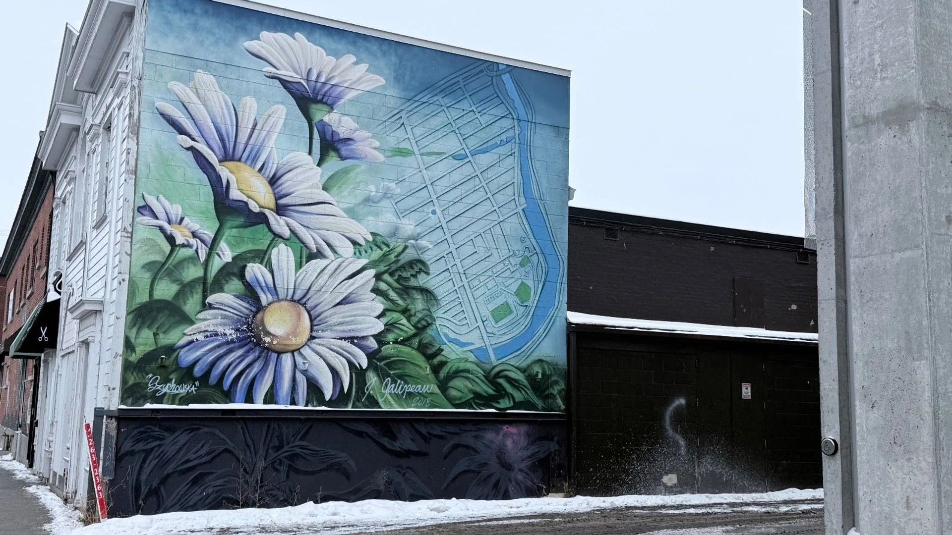 Large scale outdoor mural in Ottawa by artist Jocelyn Galipeau featuring oversized white daisies and a stylized blueprint map of The Glebe neighborhood.