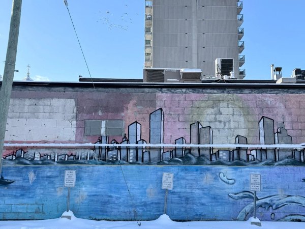 Street art mural in Hintonburg, Ottawa - Urban art photography