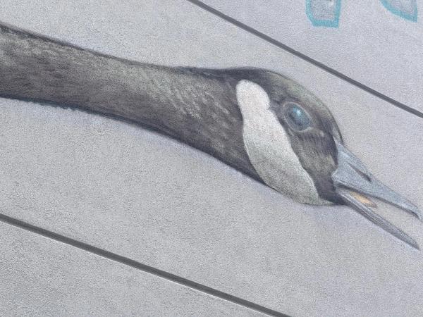 Untitled by Arpi - Mural in Hintonburg, Ontario